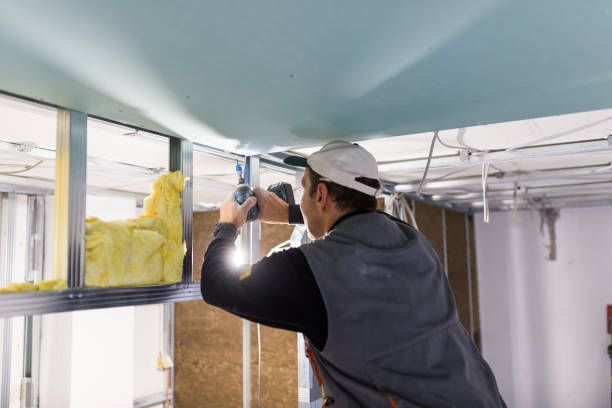 Best Specialized Insulation Services in Perryville, MO