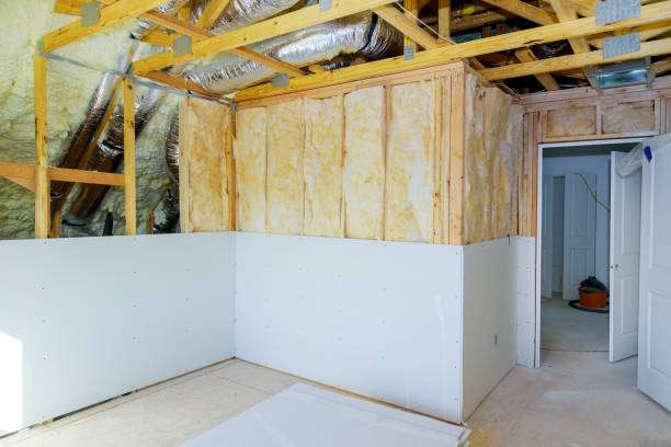 Best Residential Insulation in Perryville, MO
